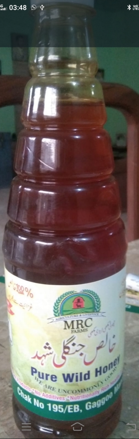 Pure Wild Honey (Chotti Makhi)